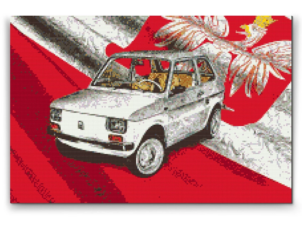 Diamond painting by numbers - picture of veteran Maluch