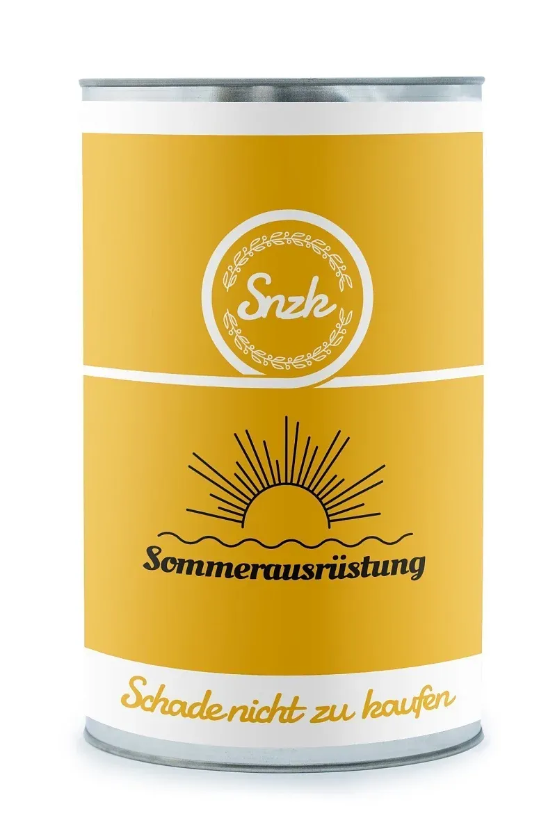 Geschenk Sommer-Set Bus C734/B731